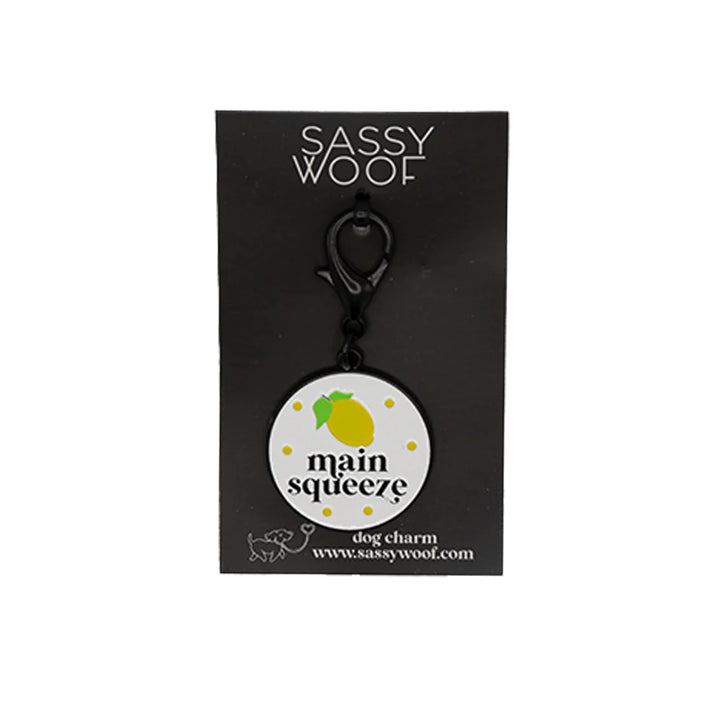 Dog Collar Tag | Main Squeeze