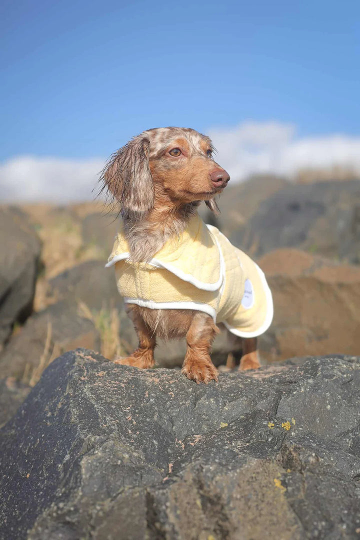 Dog Drying Coat | Butter Yellow