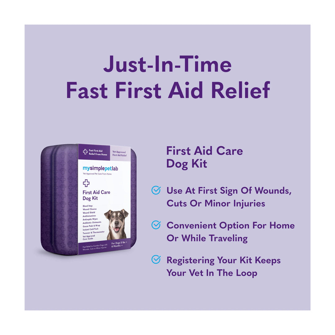 First Aid Care Dog Kit