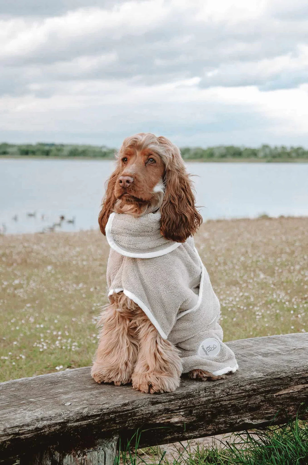 Dog Drying Coat | Latte