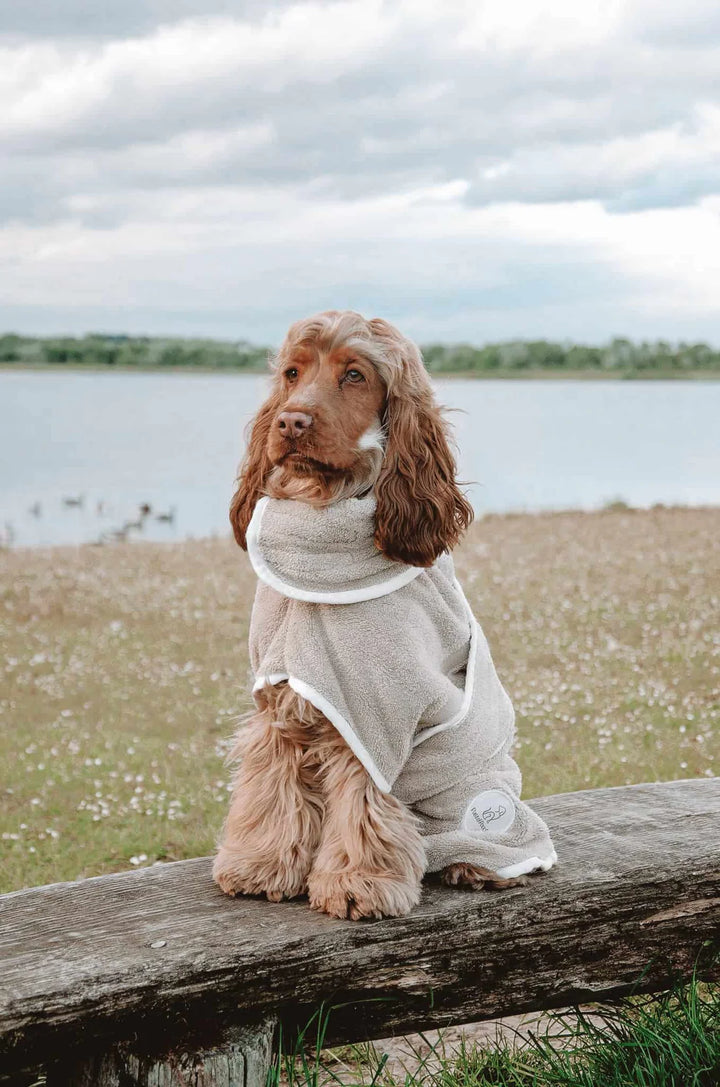 Dog Drying Coat | Latte