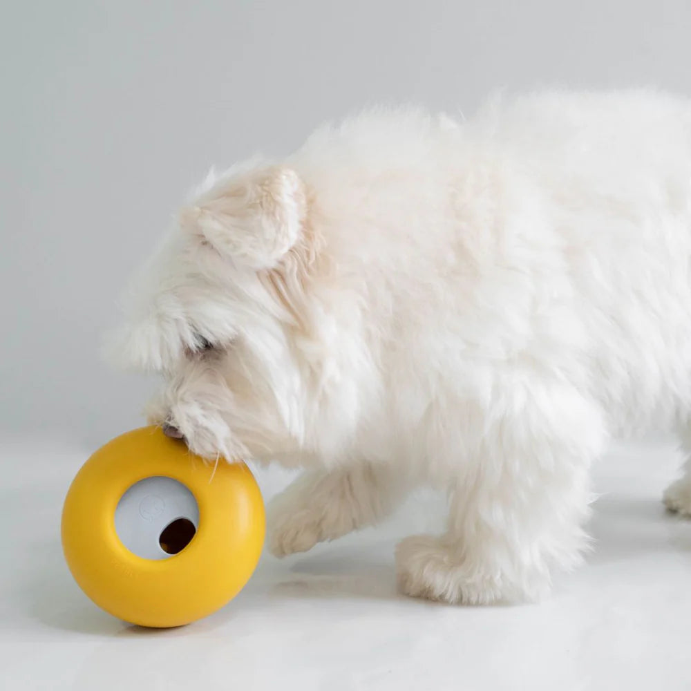 Pebble | All-in-One Puzzle Toy