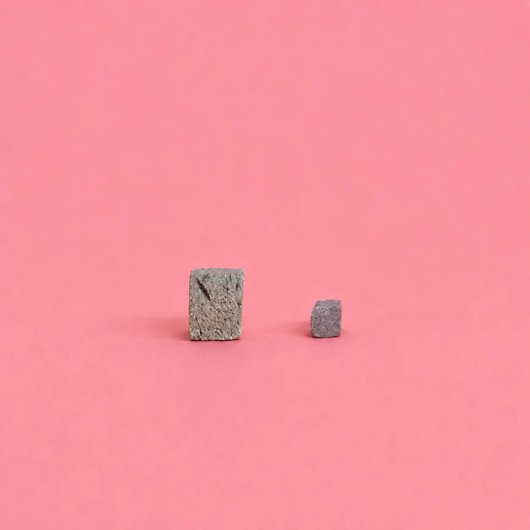 Freeze Dried Mini Beef Liver Cubes | Waita Pets