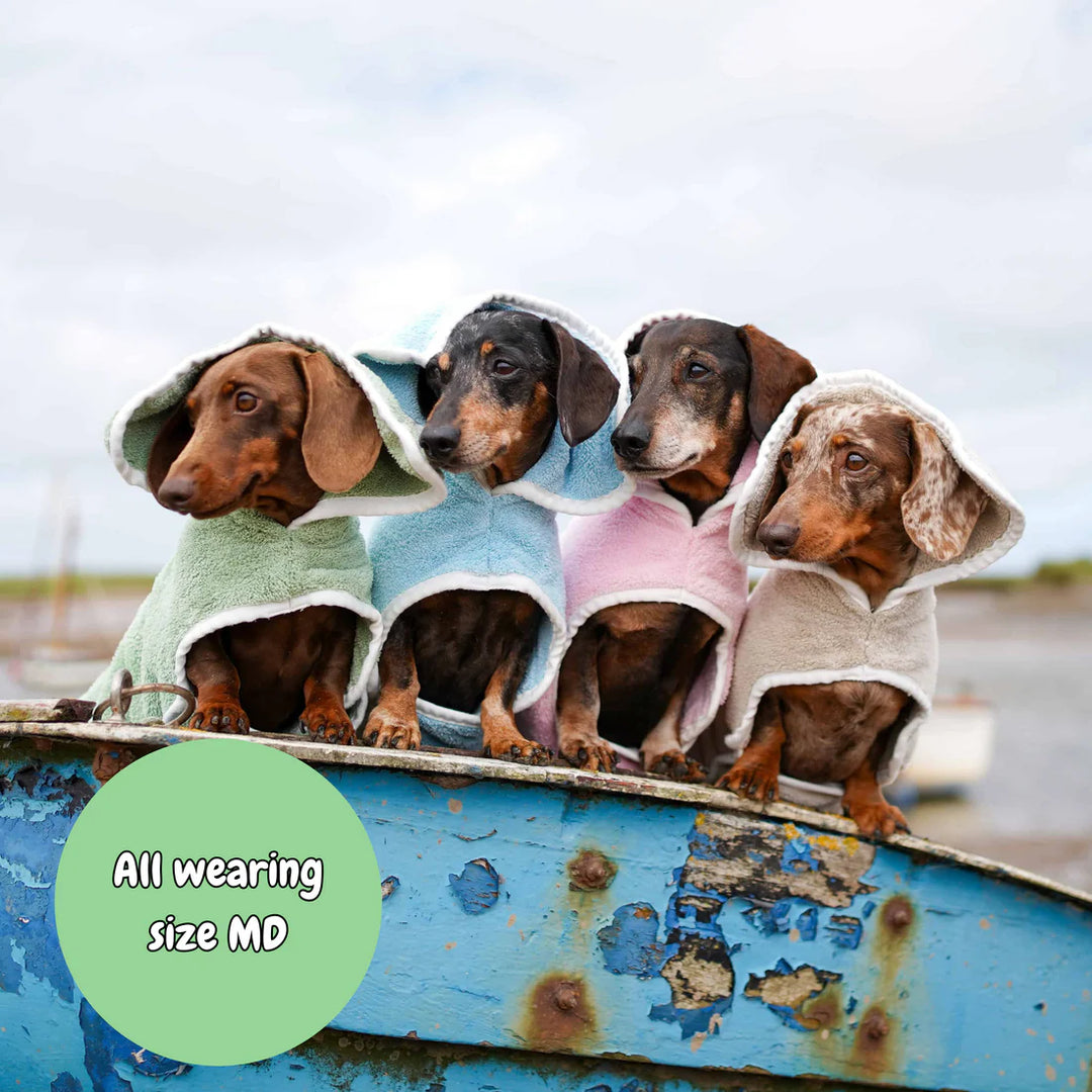 Dog Drying Coat | Candy Floss Blue