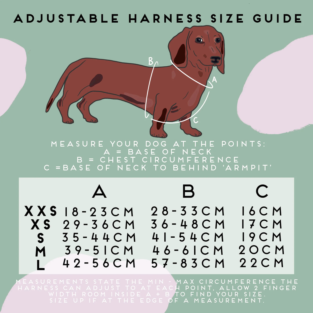 Adjustable Dog Harness | No Rain, No Flowers