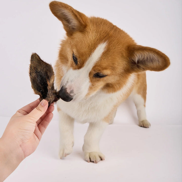 Kangaroo Ears with Fur