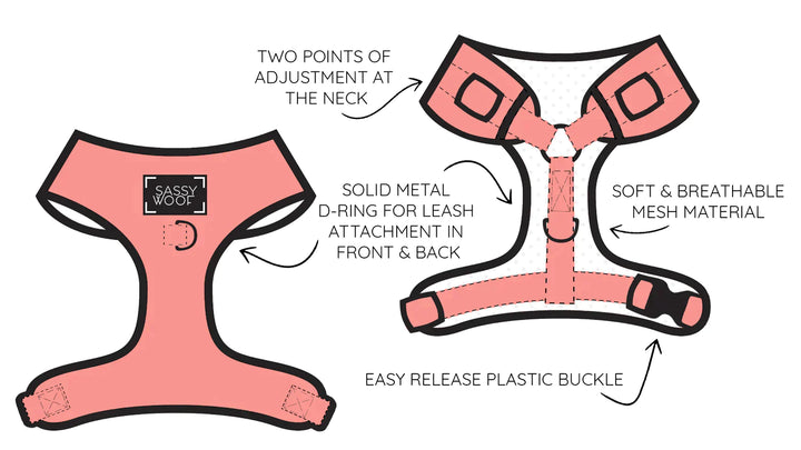 Adjustable Dog Harness | Bee Sassy