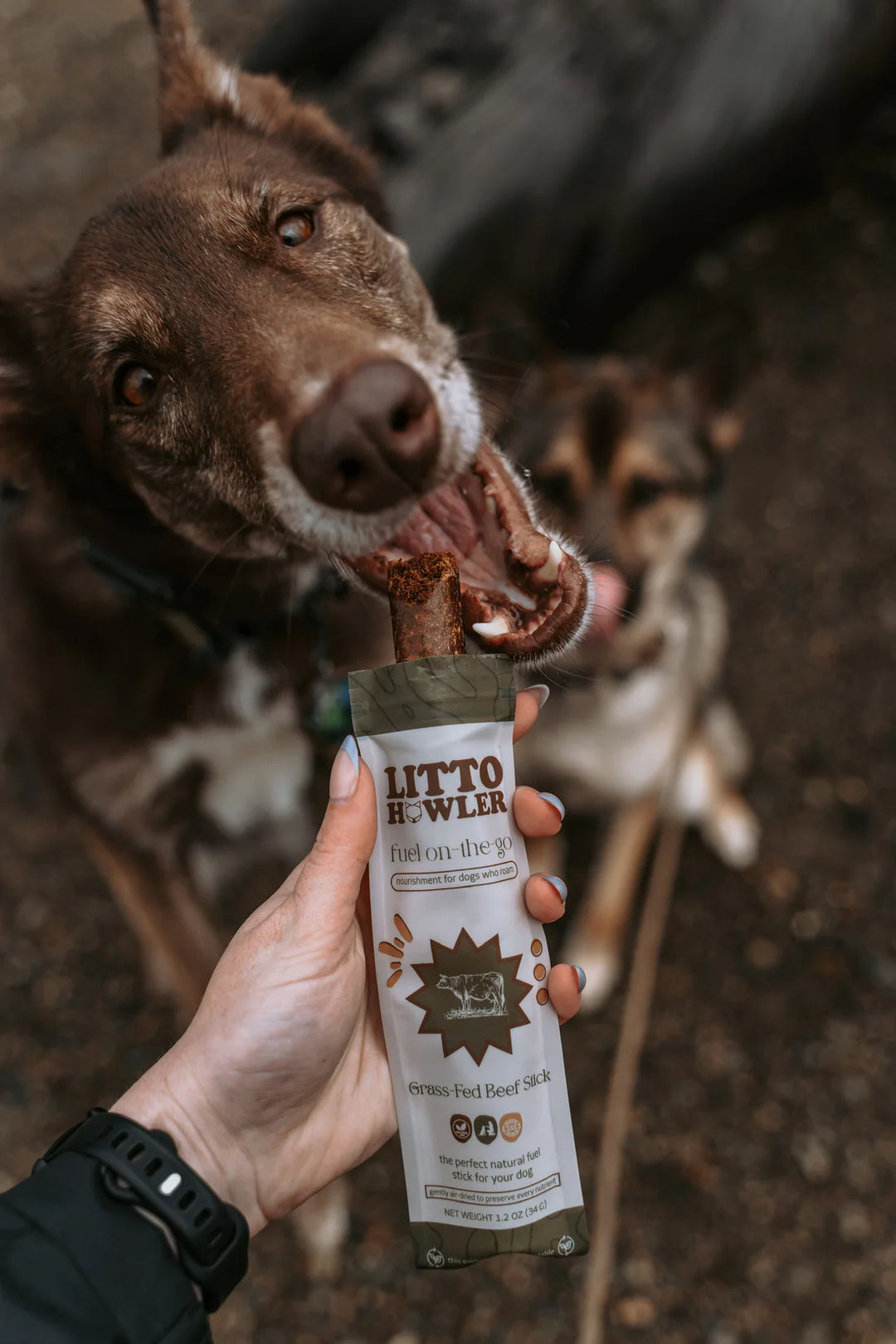 Grass-Fed Beef Stick