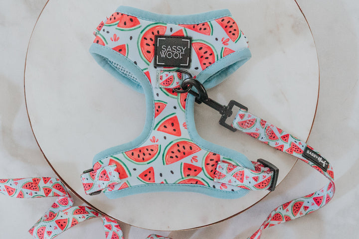 Dog Two Piece Bundle | Oh My Melons