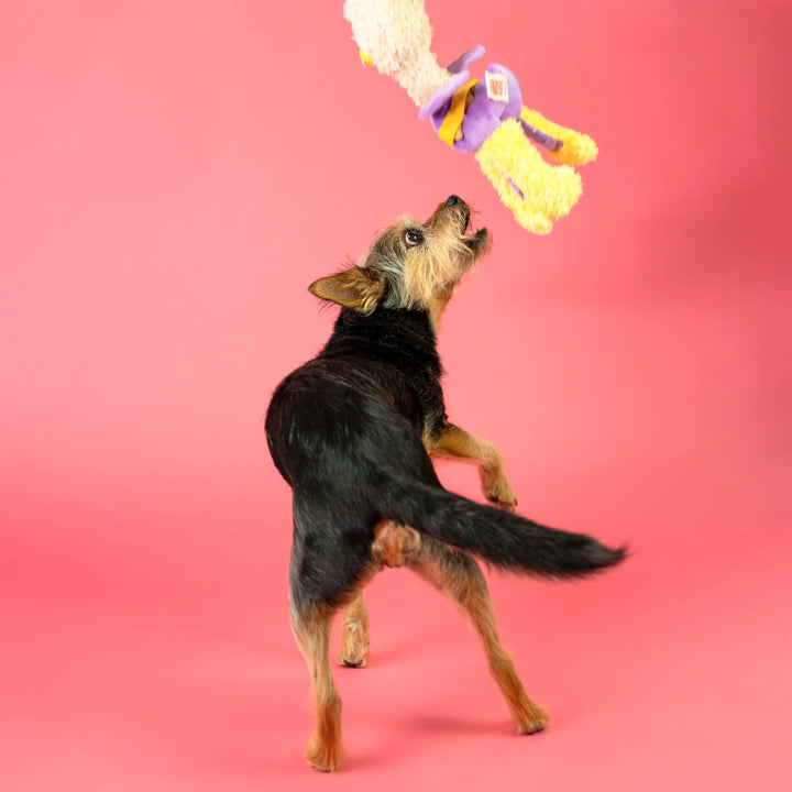 OstriKraken Nosework Toy