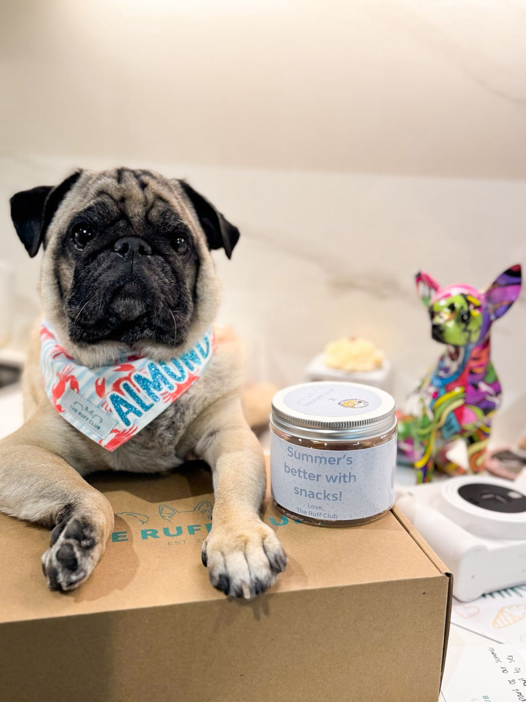 Crabby Cutie Pet Bandana | Second Wags Collection
