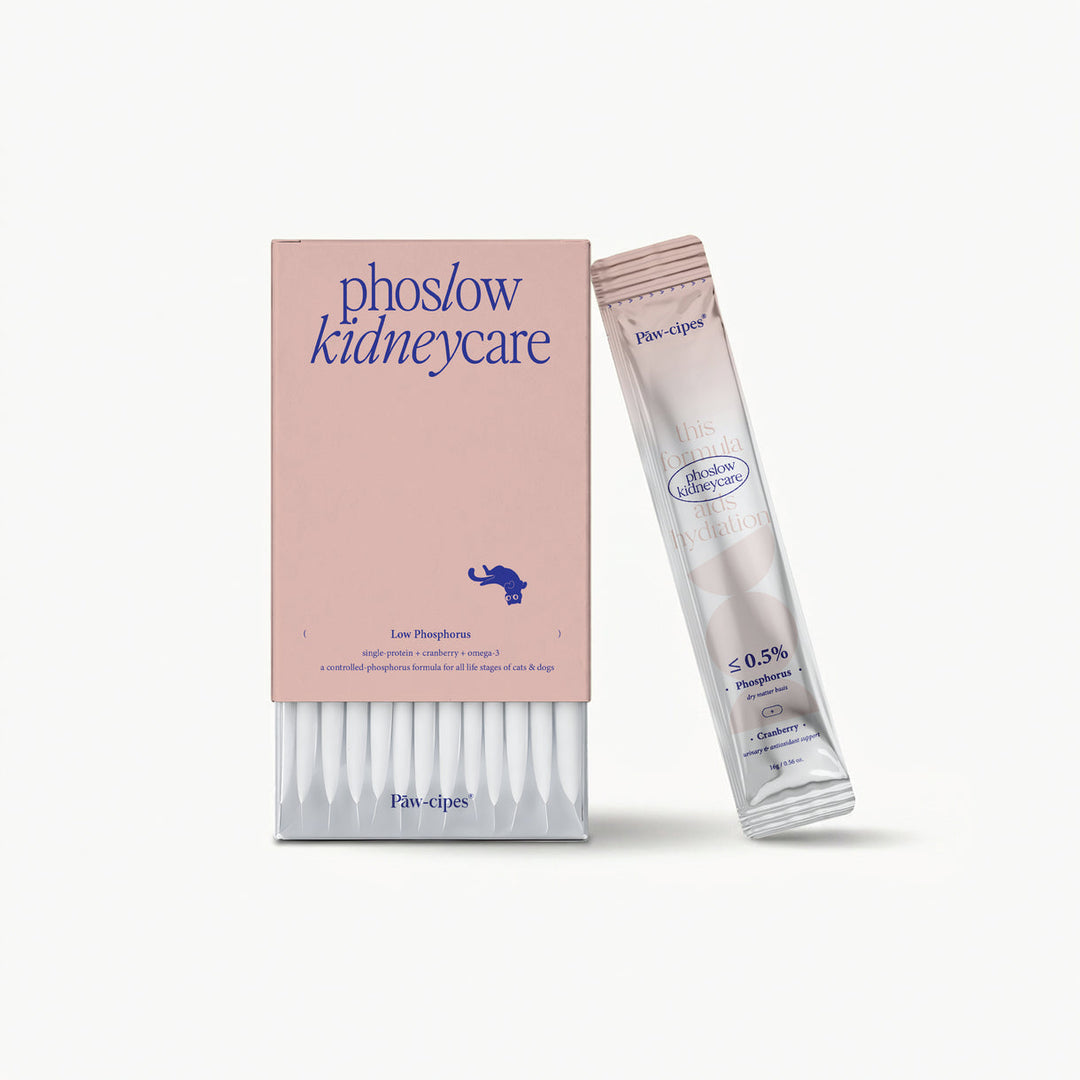 Phoslow Kidneycare