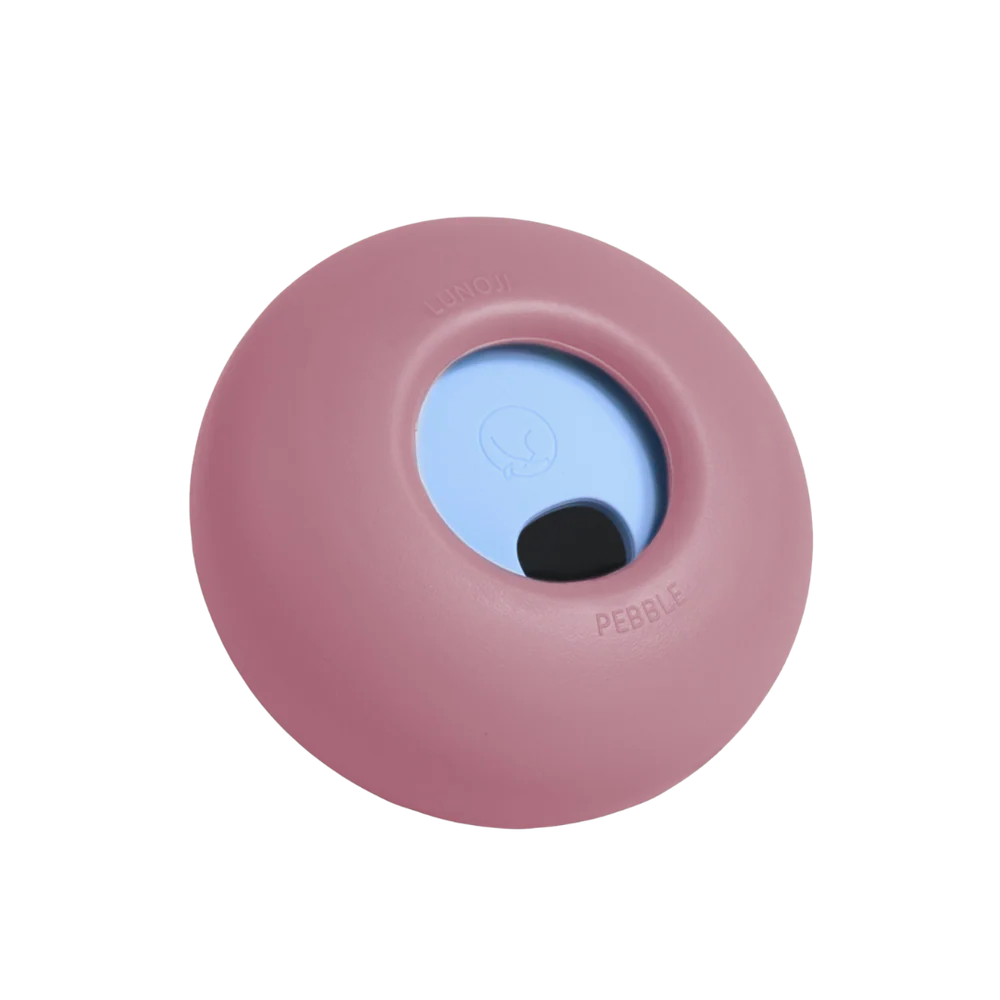Pebble | All-in-One Puzzle Toy