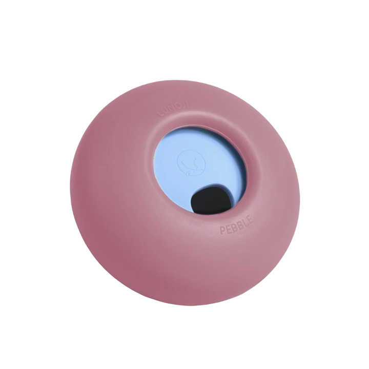 Pebble | All-in-One Puzzle Toy