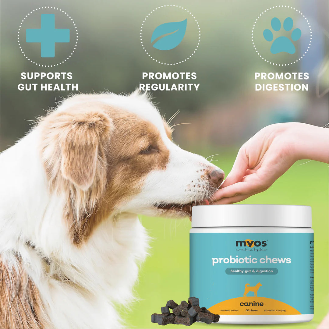 MYOS Canine Probiotic Chews