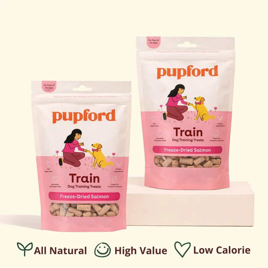 Freeze Dried Salmon Training Treats
