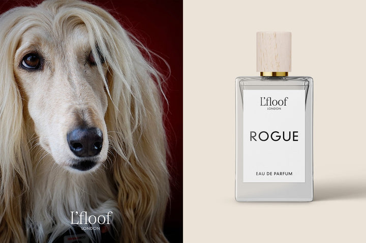 ROGUE by L'floof London