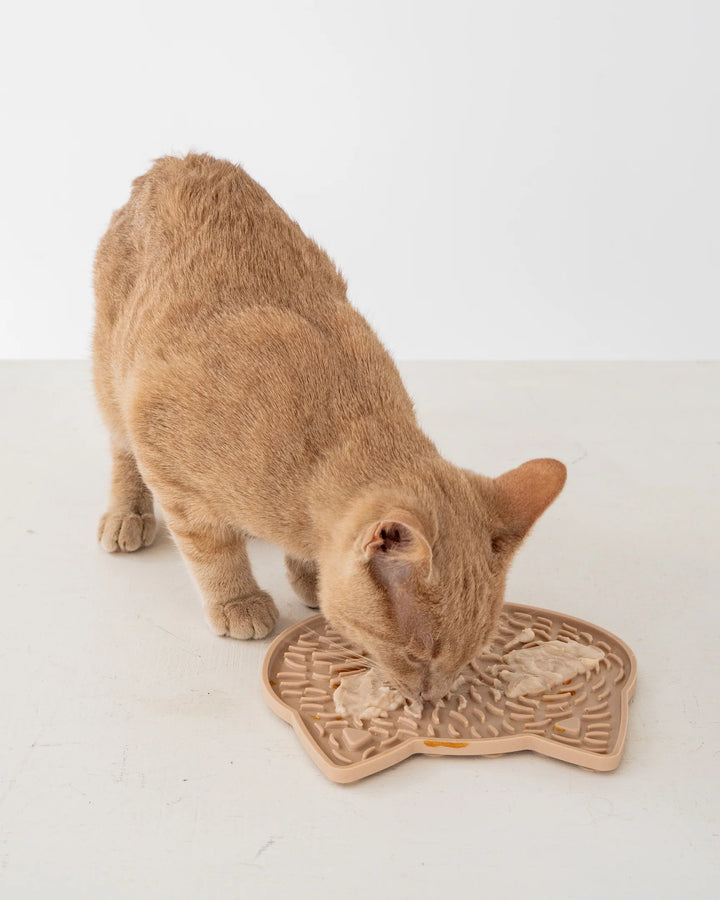 Seasonal Clever Cat Enrichment Lick Mat