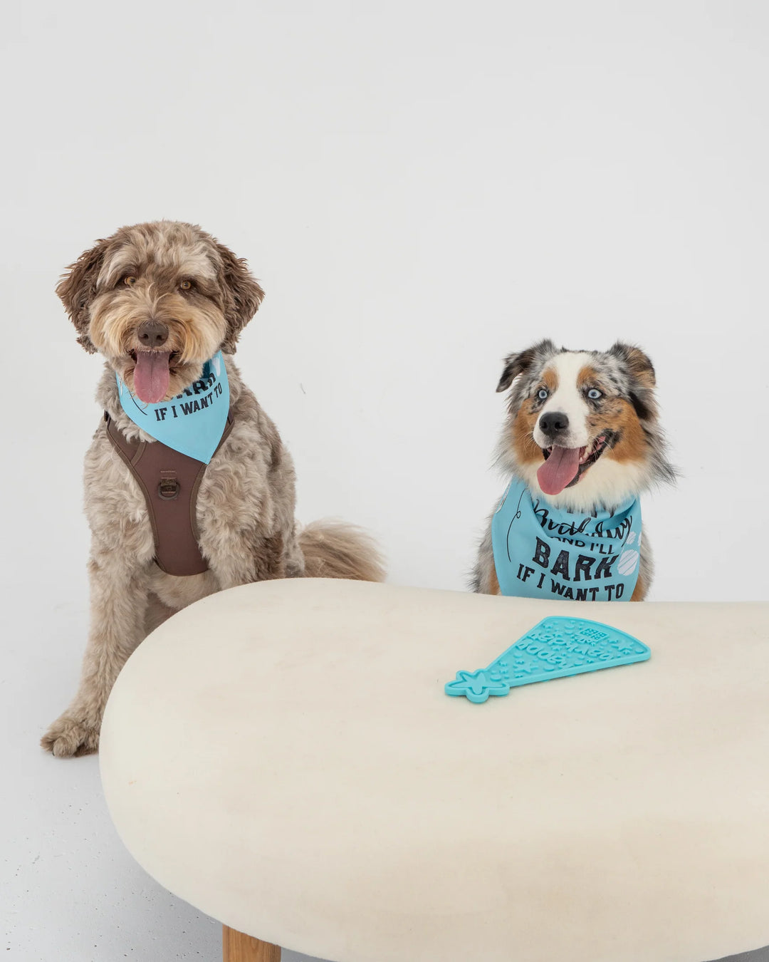 Blue Happy Bark Day Enrichment Lick Mat