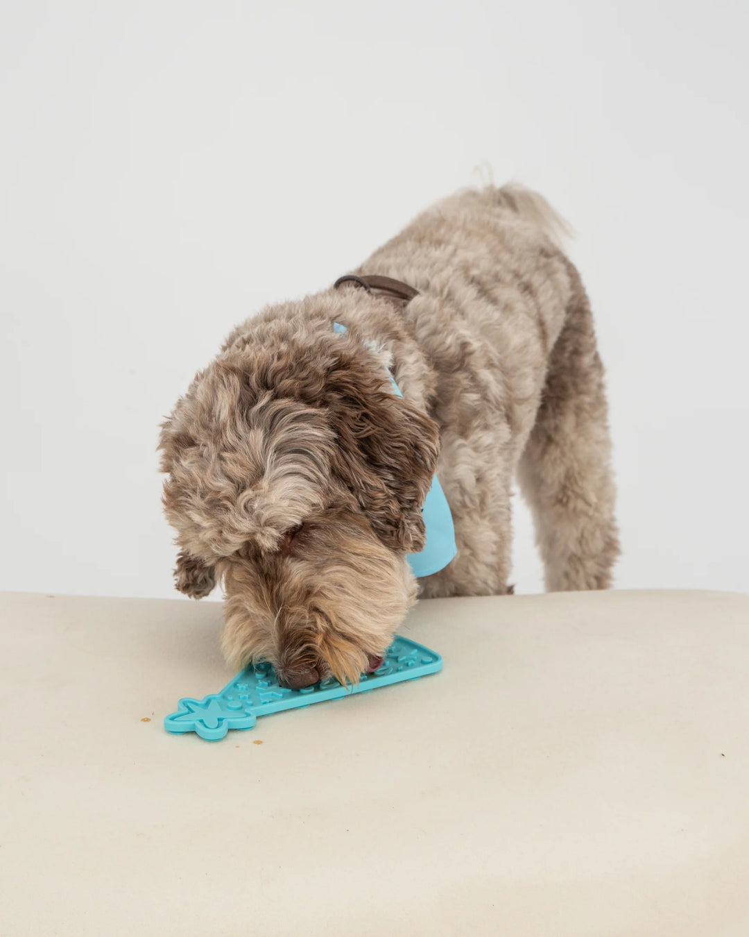 Blue Happy Bark Day Enrichment Lick Mat