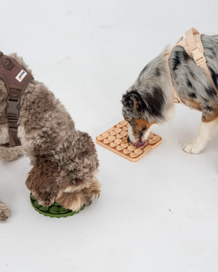 Beige Square Enrichment Snuffle Mat