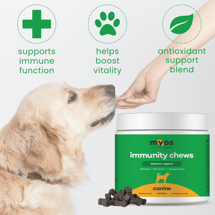 MYOS Canine Immunity Chews