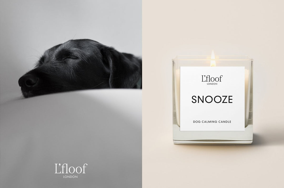 SNOOZE by L'floof London