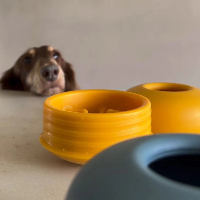 Pebble | All-in-One Puzzle Toy