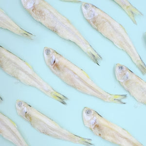 Wild Anchovies
