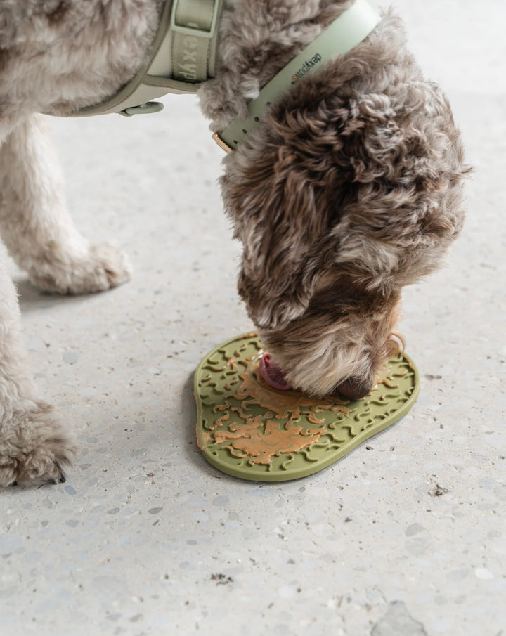 Avocado Enrichment Lick Mat