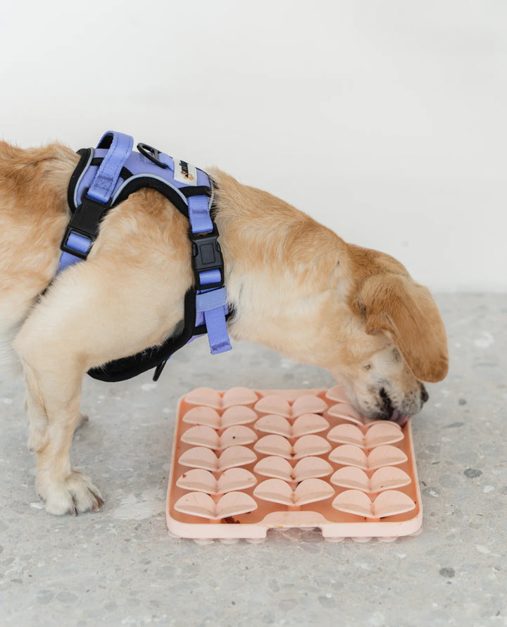 Blush Pink Square Enrichment Snuffle Mat