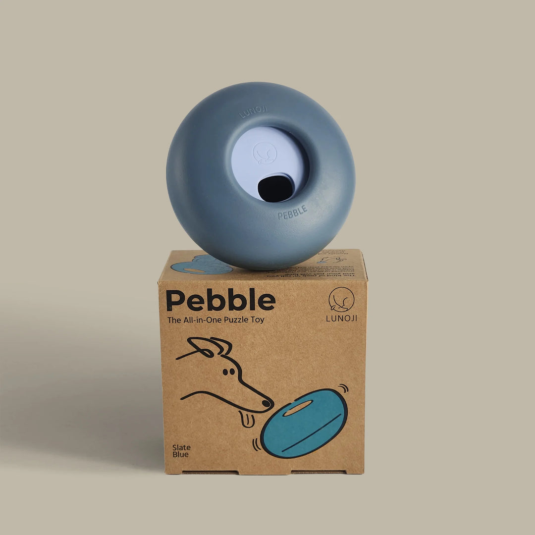 Pebble | All-in-One Puzzle Toy