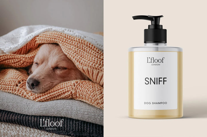 SNIFF by L'floof London