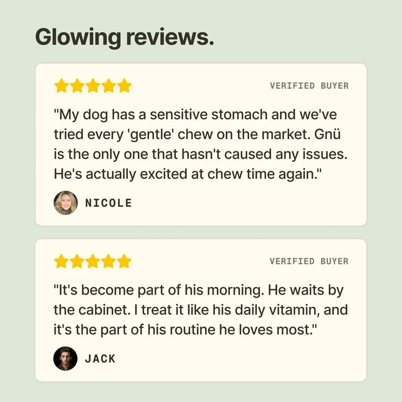 Beef Bone Broth Chew