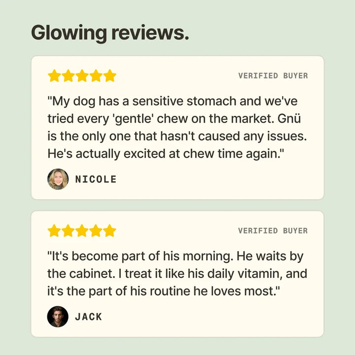 Beef Bone Broth Chew