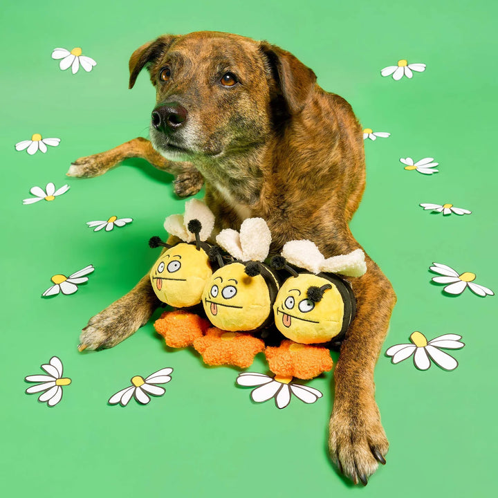 Bee Happy Nosework Toy