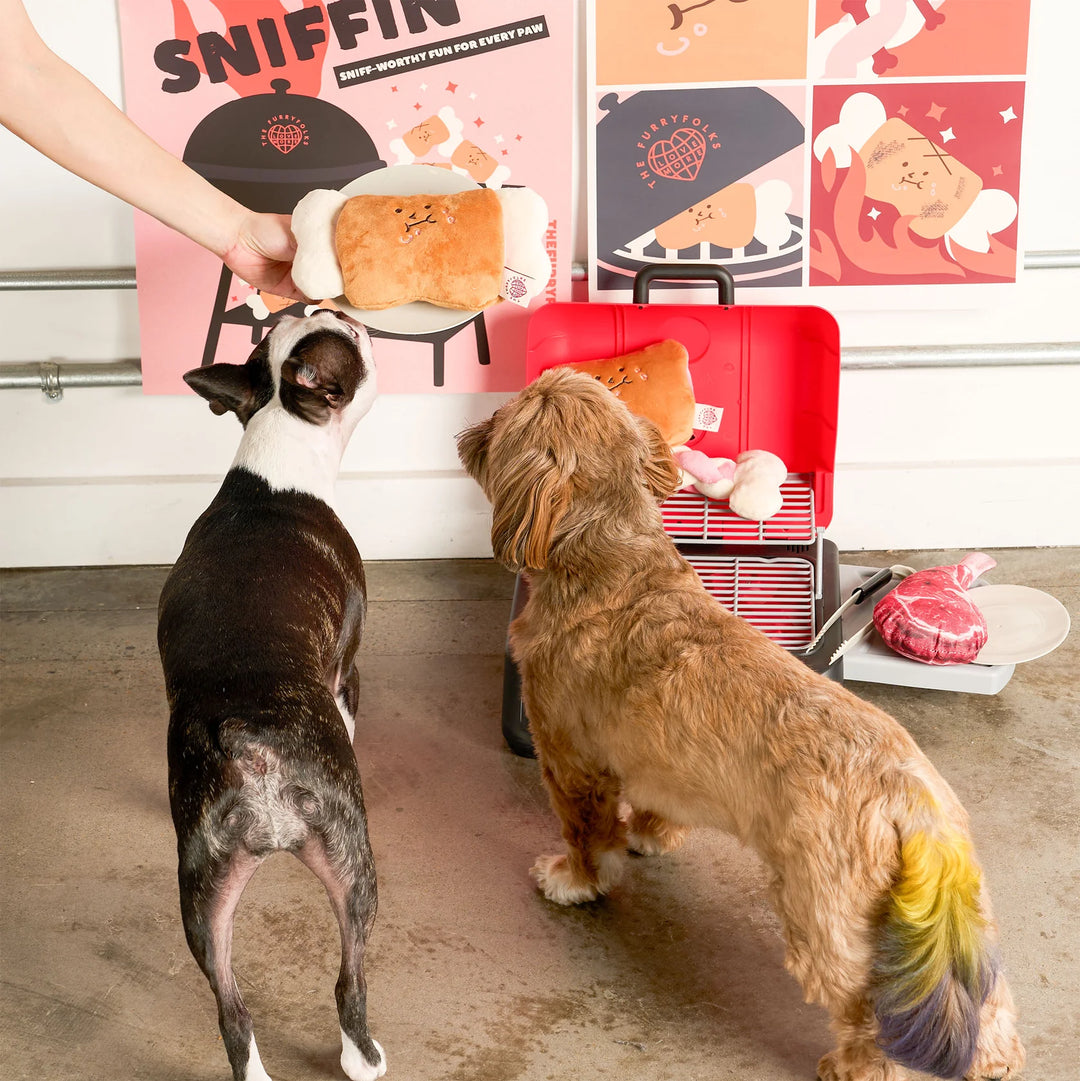 Bone Appétit Nosework Toy