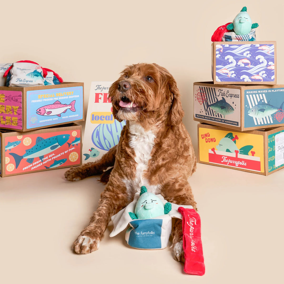Fish Express Nosework Toy