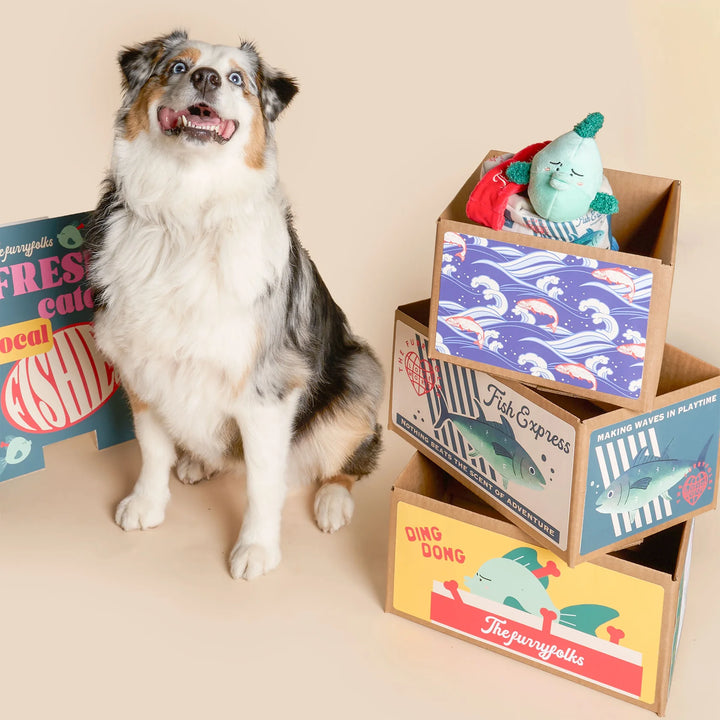 Fish Express Nosework Toy