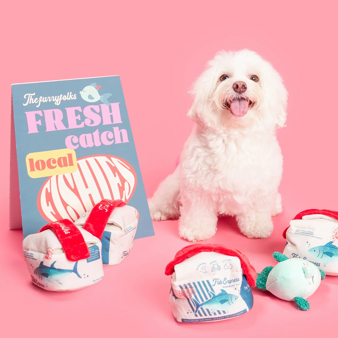 Fish Express Nosework Toy