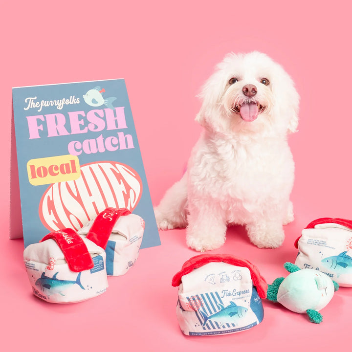 Fish Express Nosework Toy