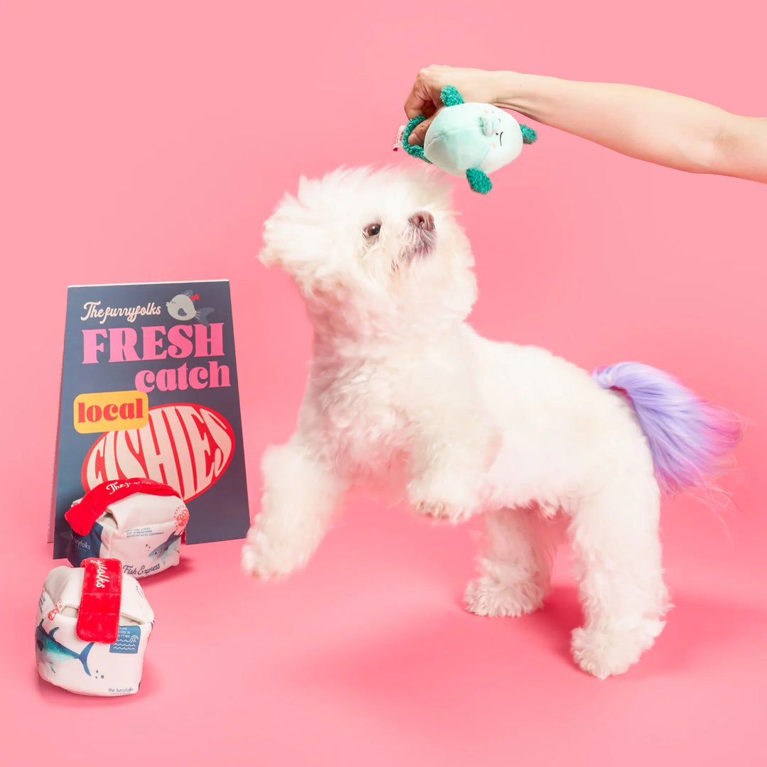 Fish Express Nosework Toy