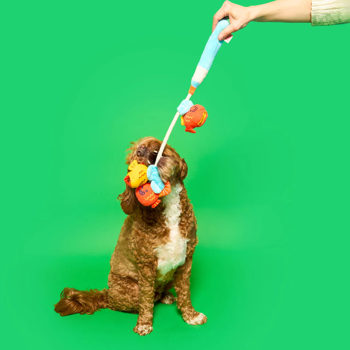 Fishing Nosework & Tug Toy
