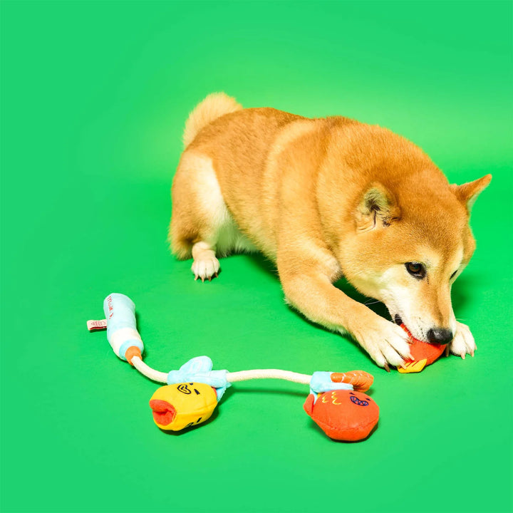 Fishing Nosework & Tug Toy