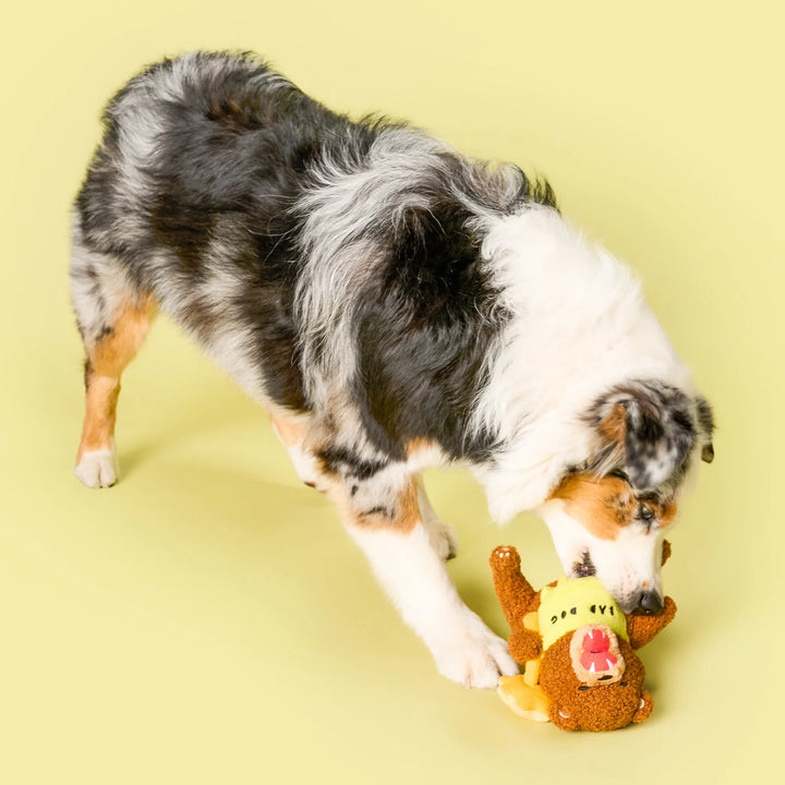 Happy Bear Tofino Nosework Toy