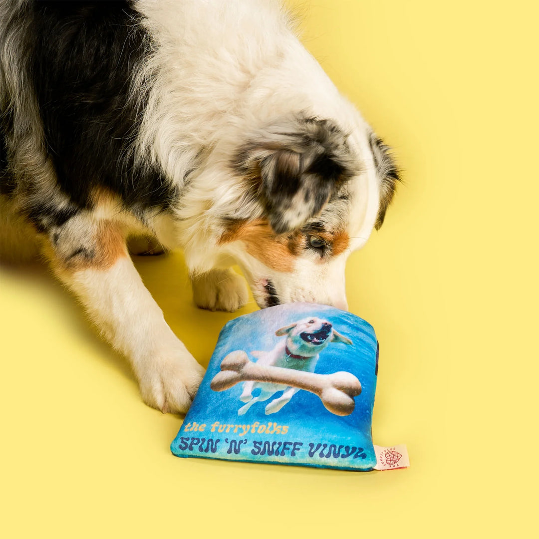 Vinyl Nosework Toy