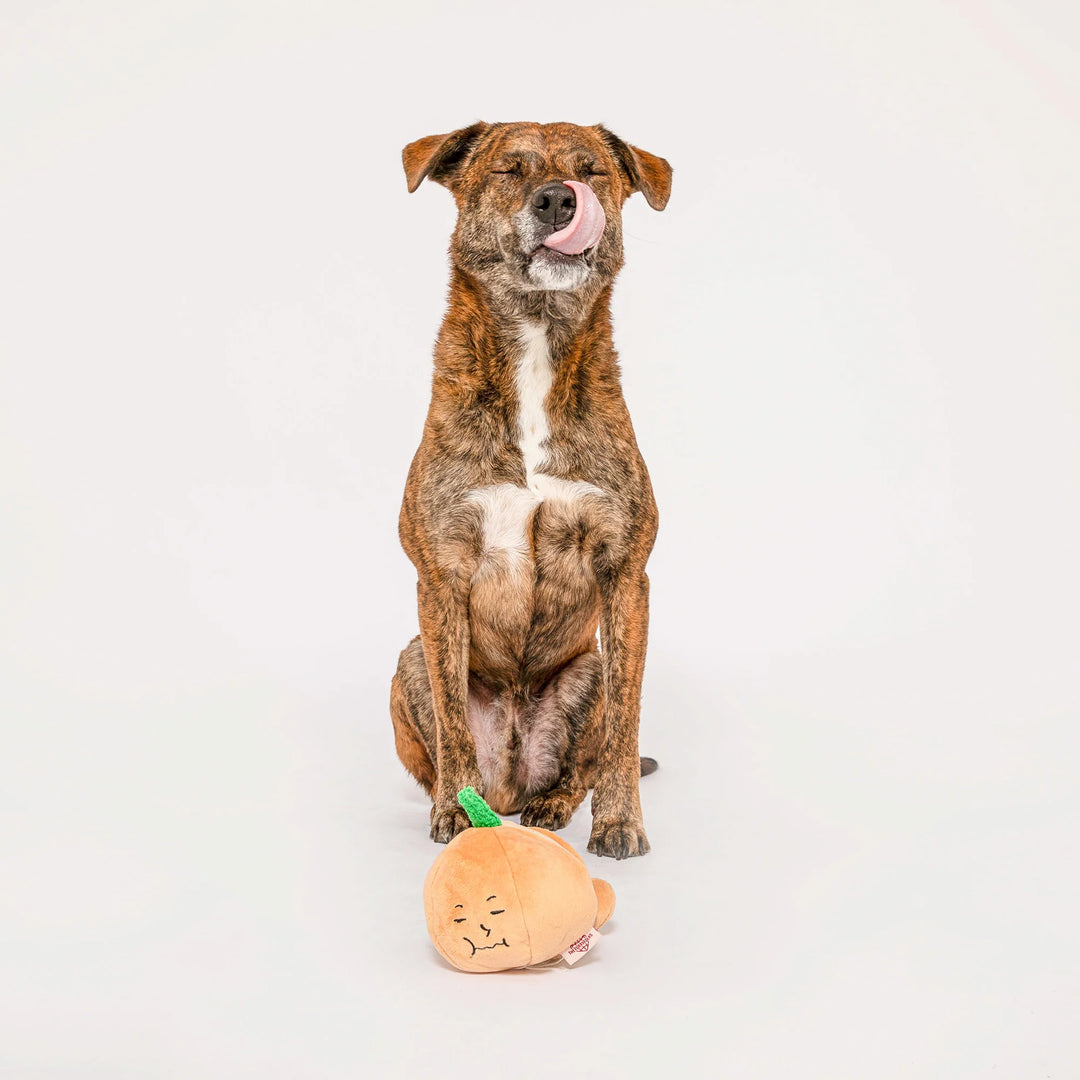 Yellow Onion Nosework Toy