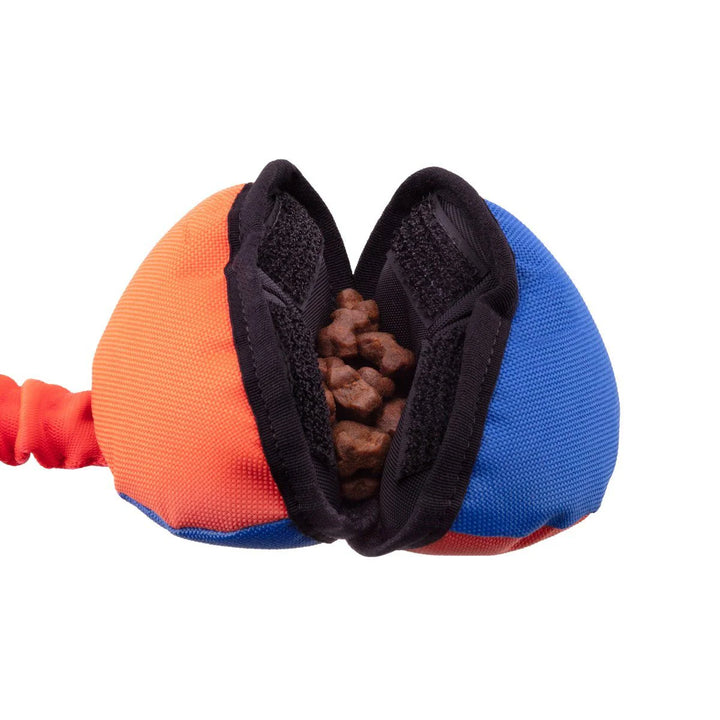 Power Clam Bungee Toy
