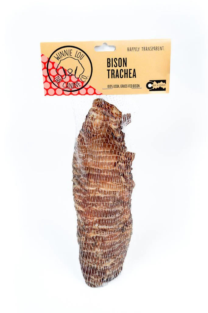Bison Trachea