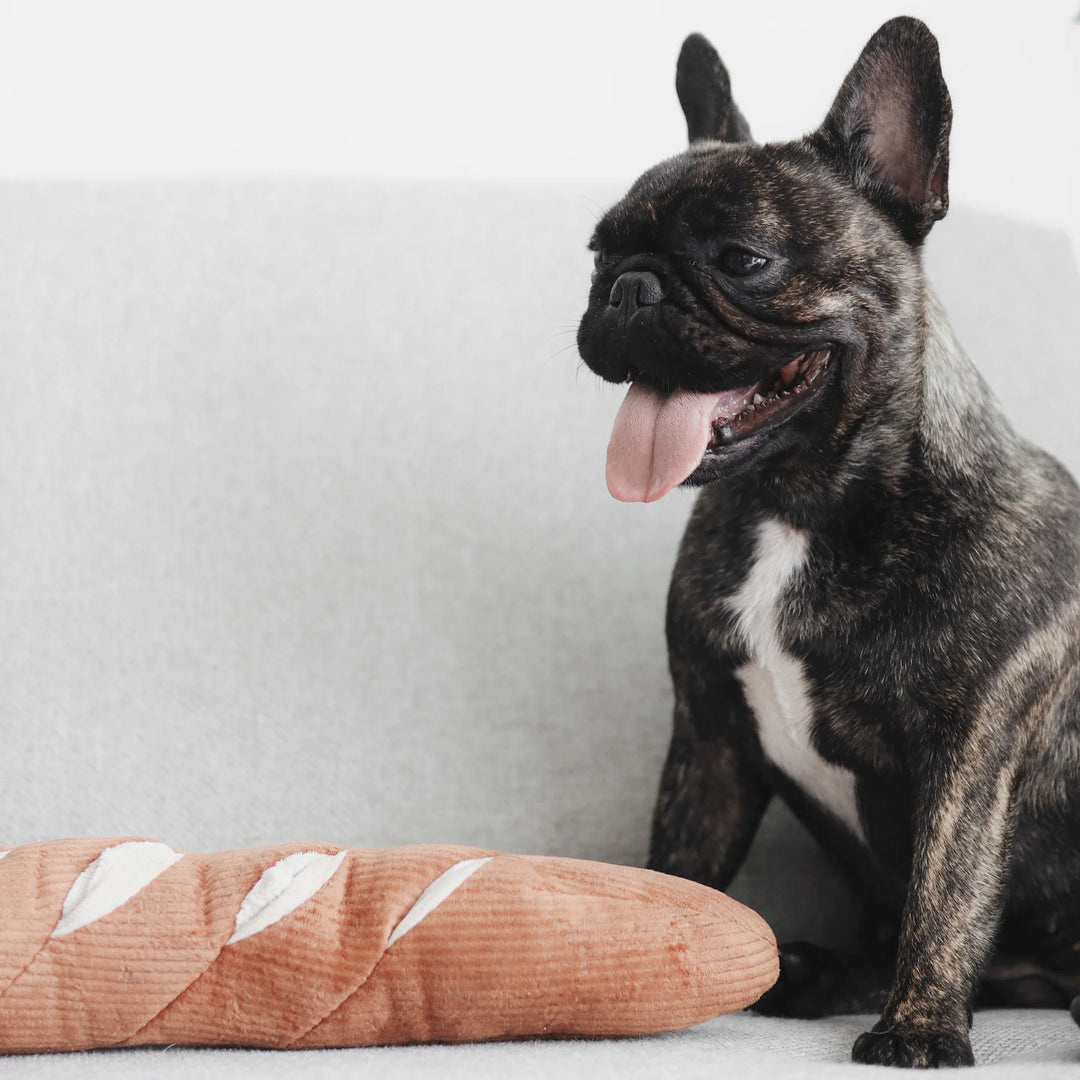 Baguette